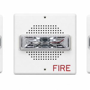 Wheelock CH70-24MCW-FW Chime Strobe