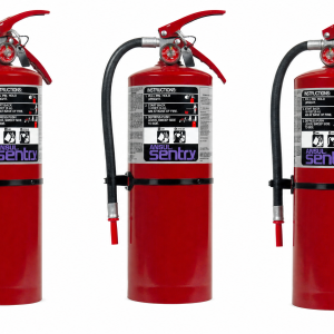 Ansul 436494 (PK10S) Extinguisher Purple-K (80-B:C)