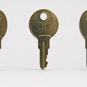Simplex 252-019 Pull Station Key For "B" Lock